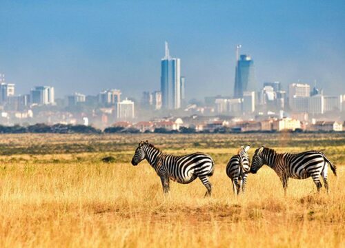 Nairobi National Park