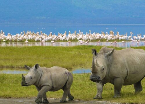 Lake Nakuru National Park