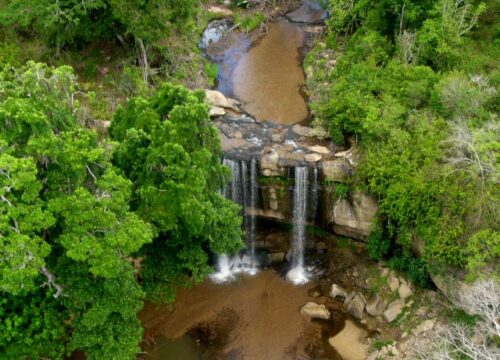 Shimba Hills National Reserve