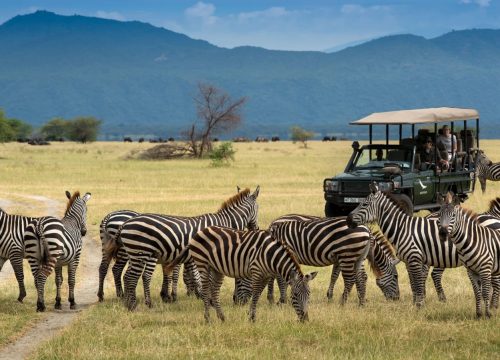 Amboseli National Park