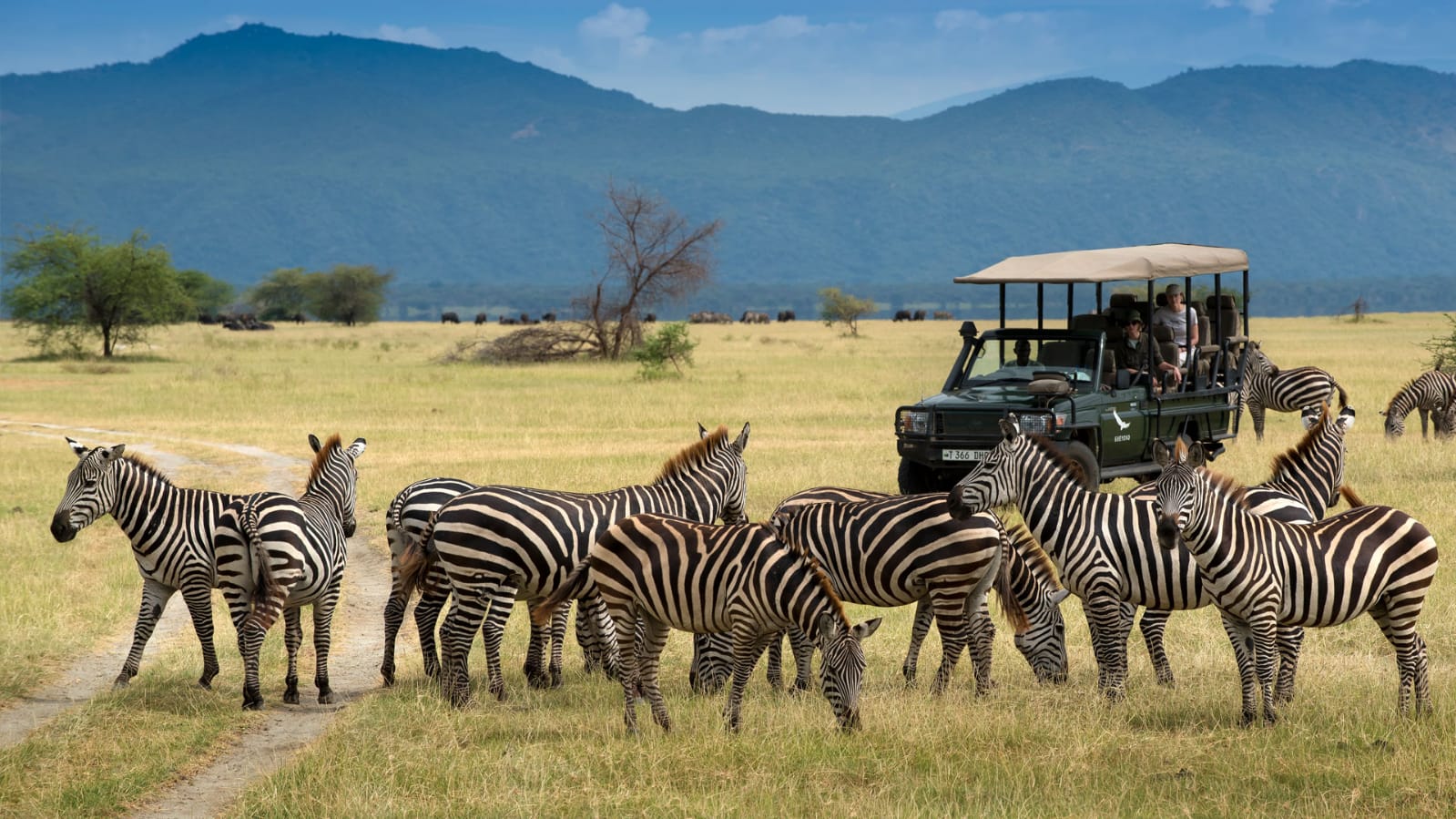 Amboseli National Park