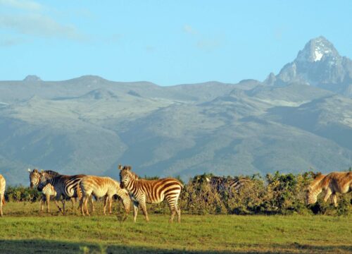 Mount Kenya National Park