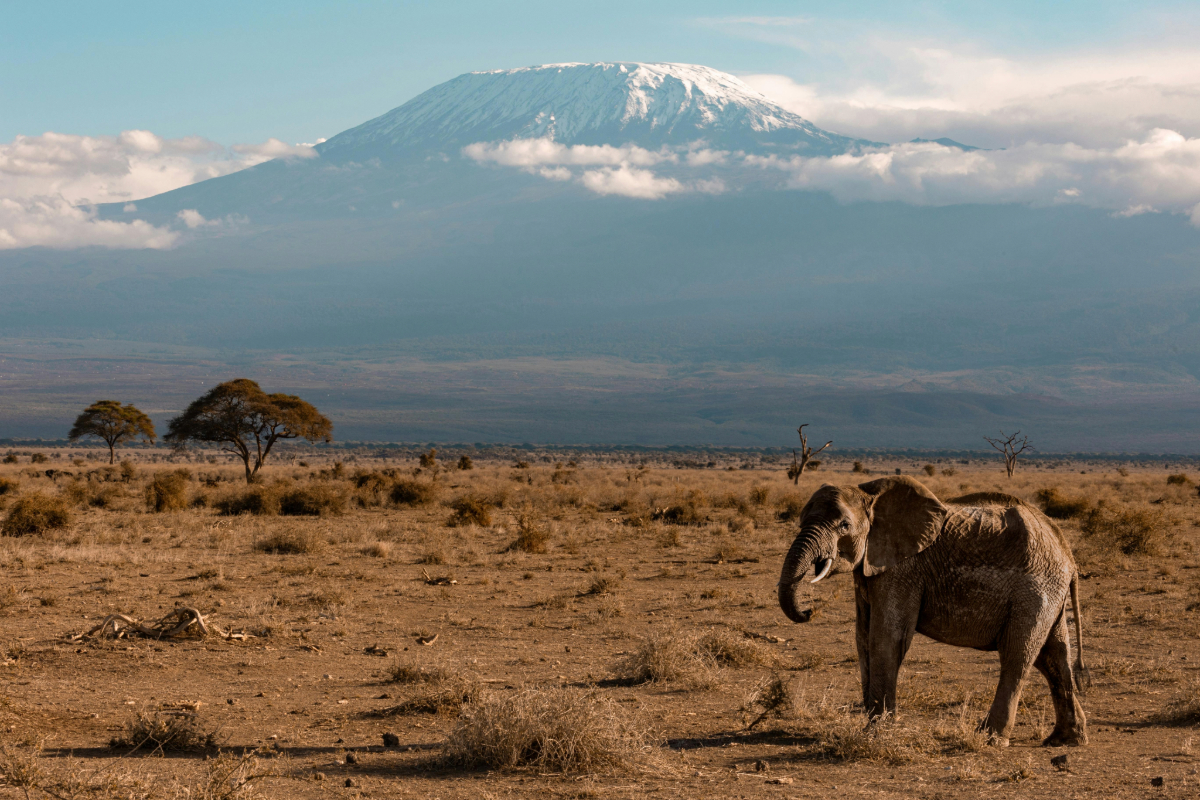 9 Days 8 Nights In Kenya & Tanzania 