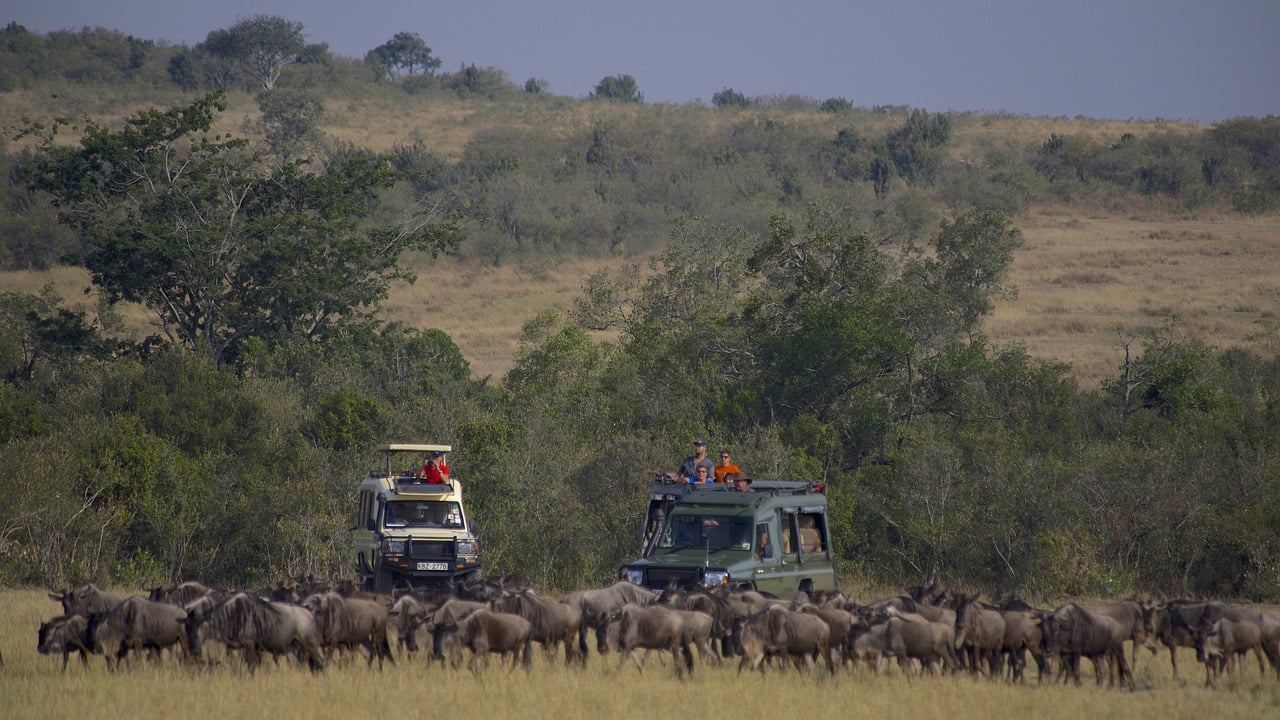 3 Days Maasai Mara